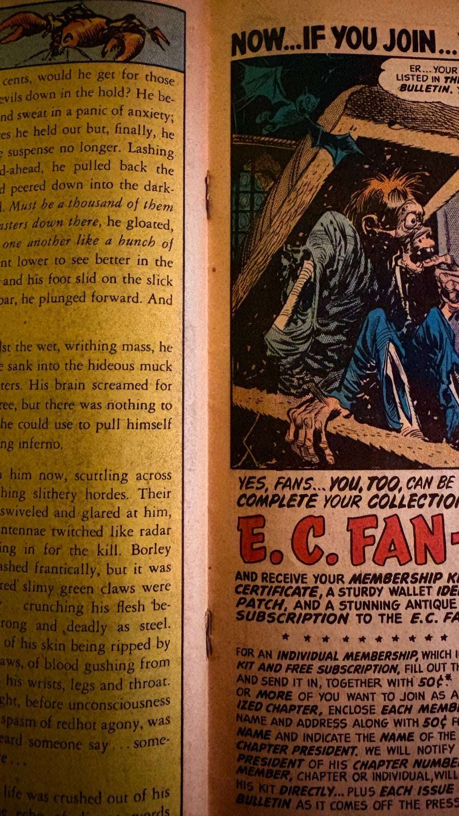 Vault of Horror #38 E.C. Comics 1954 Golden Age PCH Johnny Craig Cover GD 180 Vintage Comics UK | Key Marvel & DC Issues from Silver & Bronze Age Redsters Comics Redsters Comics