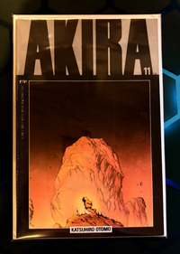 Image #11