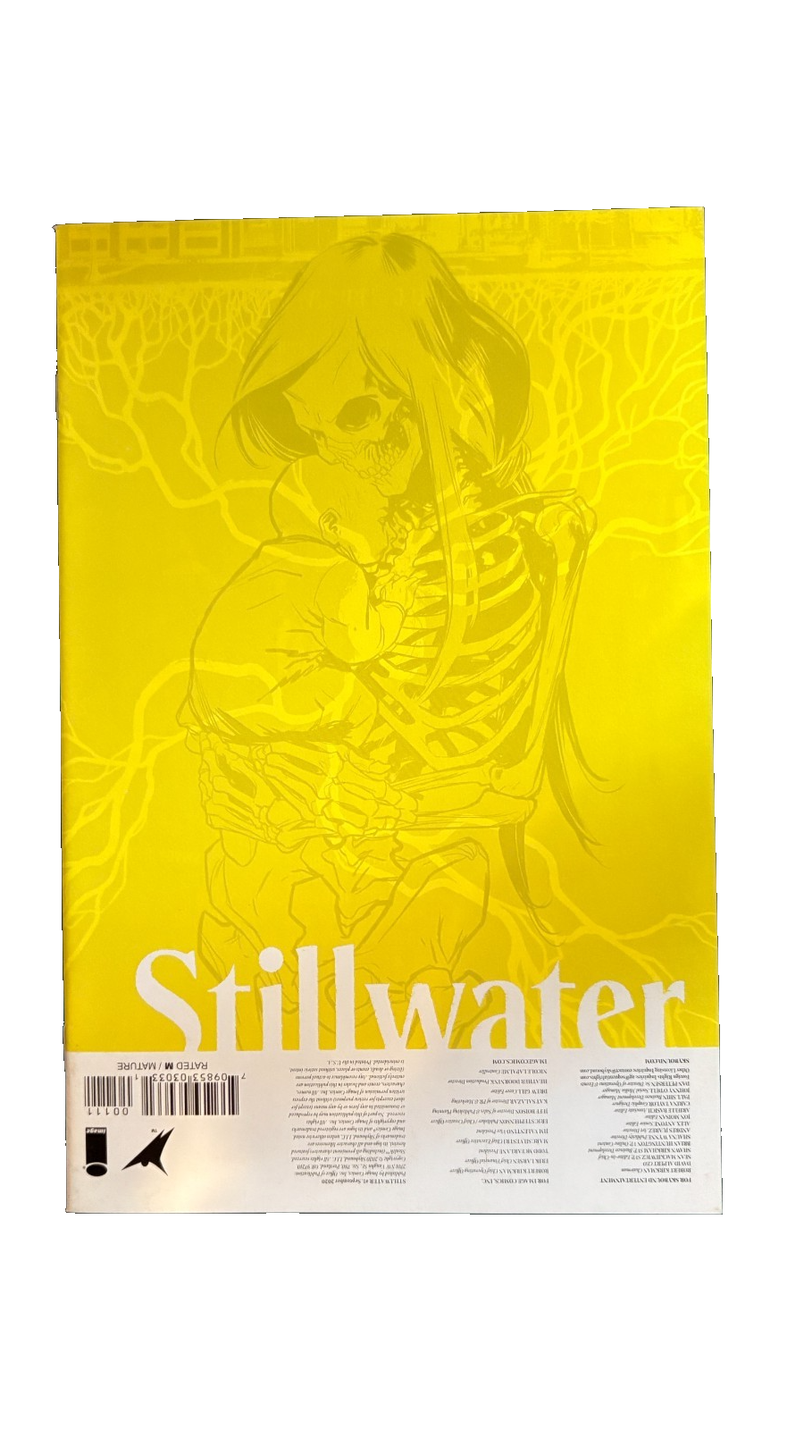 Stillwater #1 Signed Chip Zdarsky Image Comics 2020 VF/NM Amazon TV Series 54 UK Comic Exclusives & Rare Variants – Foils & Incentives | Redsters Comics Redsters Comics Redsters Comics
