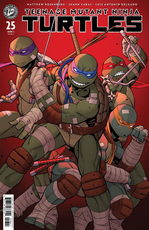 TEENAGE MUTANT NINJA TURTLES #25 CVR A JUANN CABAL