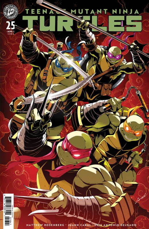 TEENAGE MUTANT NINJA TURTLES #25 CVR B GODTAIL VAR