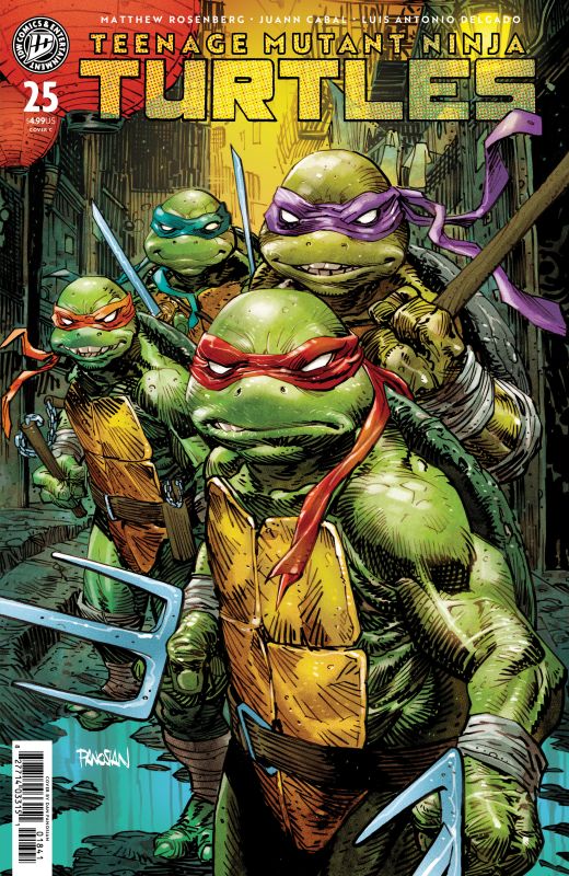 TEENAGE MUTANT NINJA TURTLES #25 CVR C DAN PANOSIAN VAR