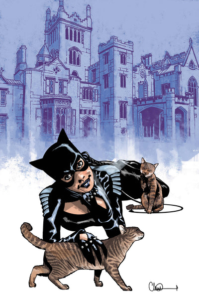 Catwoman #91 Cover C Charlie Adlard Card Stock Variant (Batman Bad Seeds)