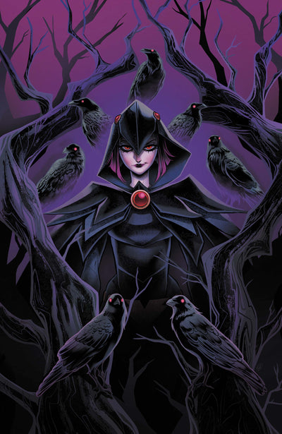 DCs Quoth the Raven Whatever #1 (One-Shot) Cover A Sweeney Boo
