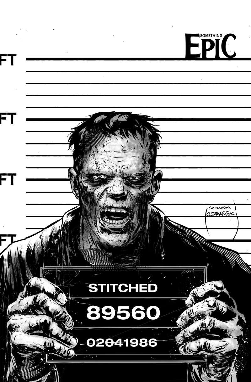 Something Epic #15 Cover C Szymon Kudranski Raw Art Variant