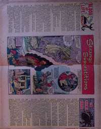 Witches Tales #5 (September 1951), original Harvey pre-Code horror, raw GD/VG — interior spread